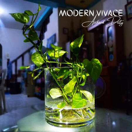 Modern Vivace Album Art (2021)